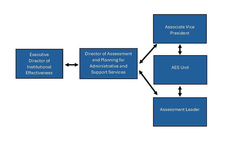 AES Roles Chart