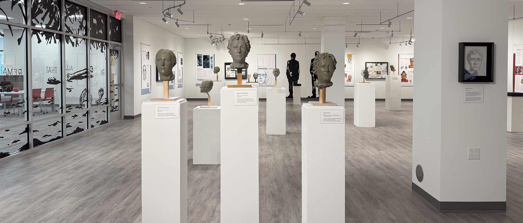 A photo of the bruce gallery