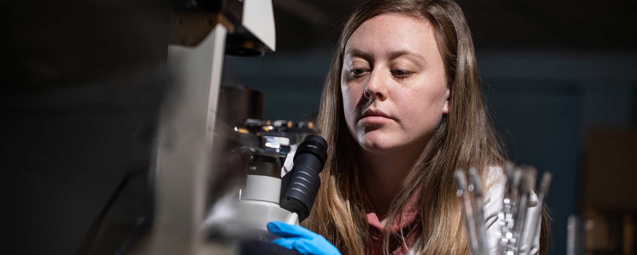 A biology student using a microscope at Pennsylvania Western University