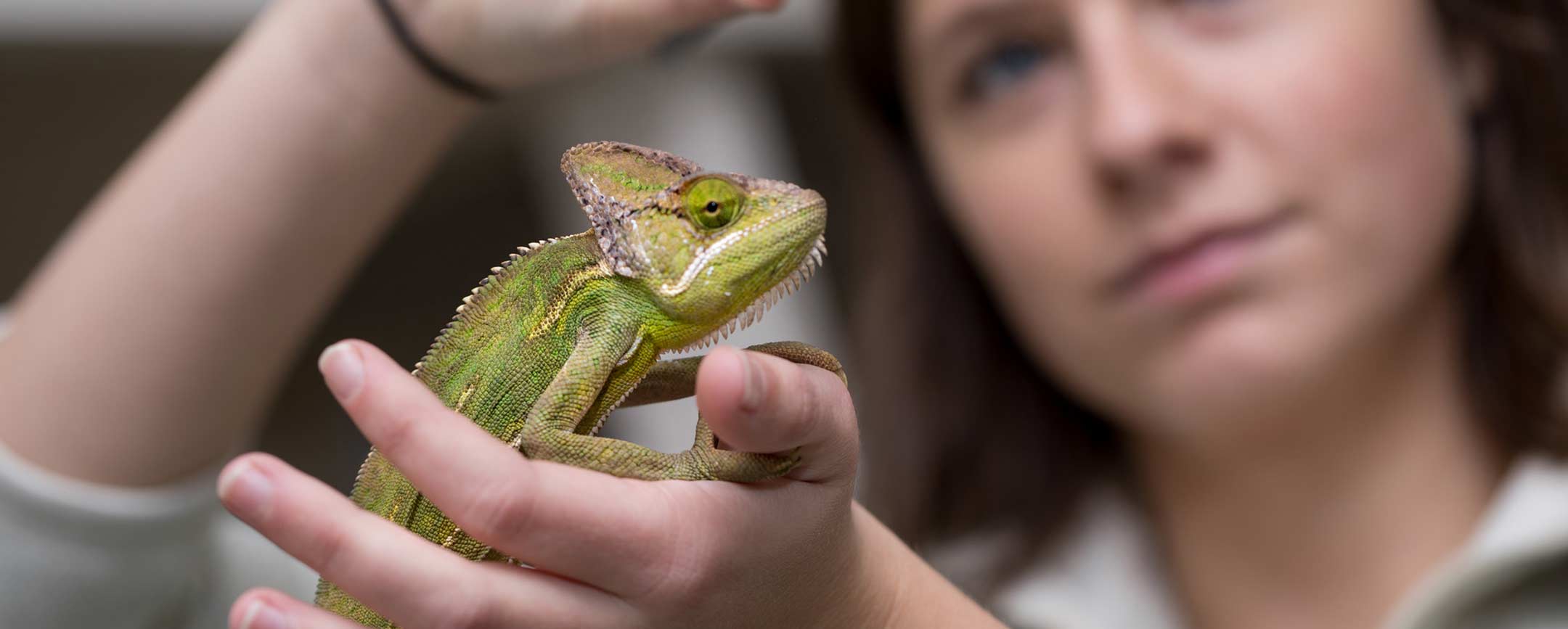 A student holding a lizard