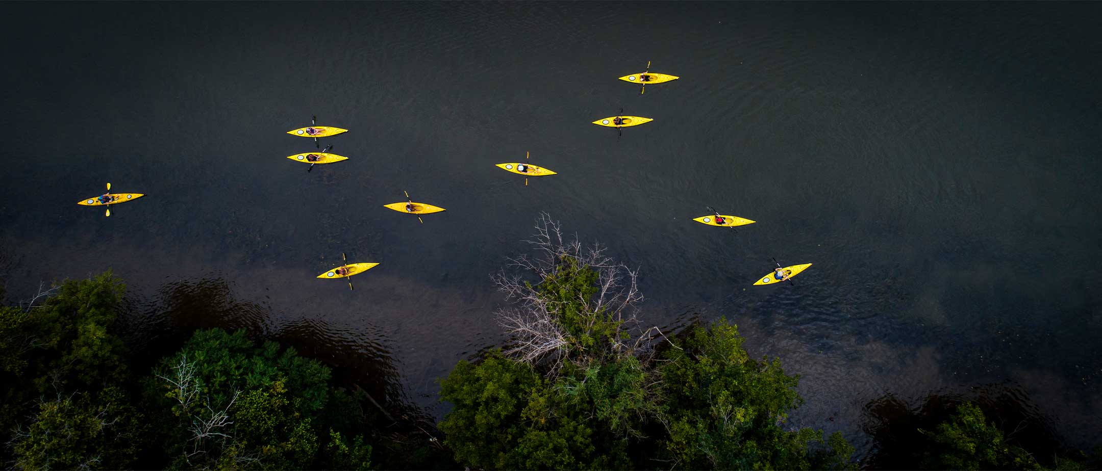 Students kayaking on a river