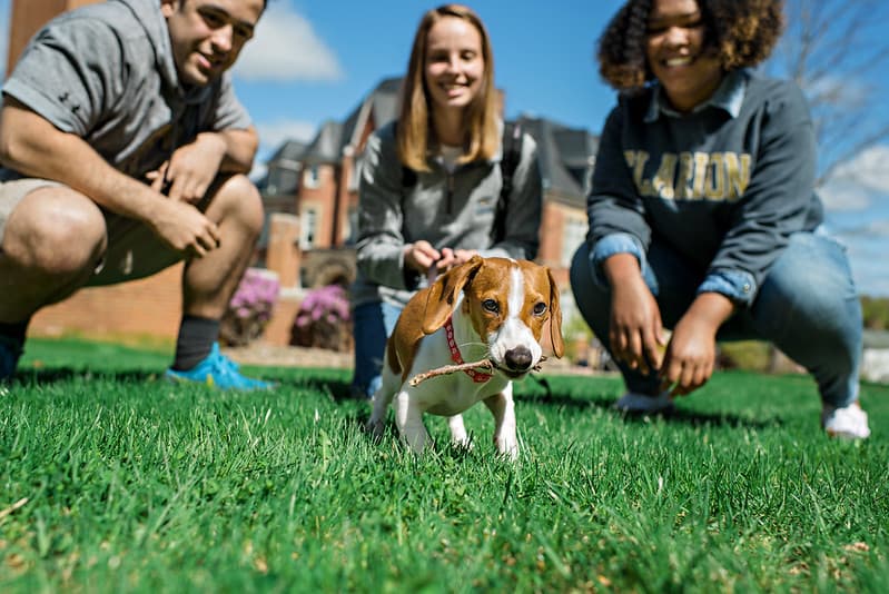 PennWest Clarion students with a puppy on campus. 