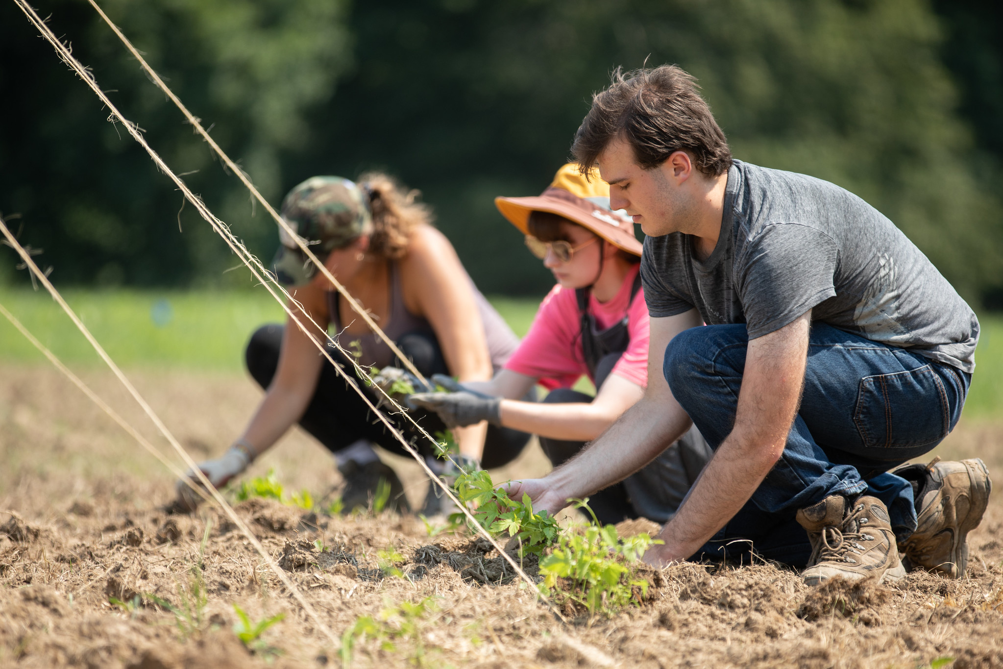 PW Cal Students working on the SAI Farm