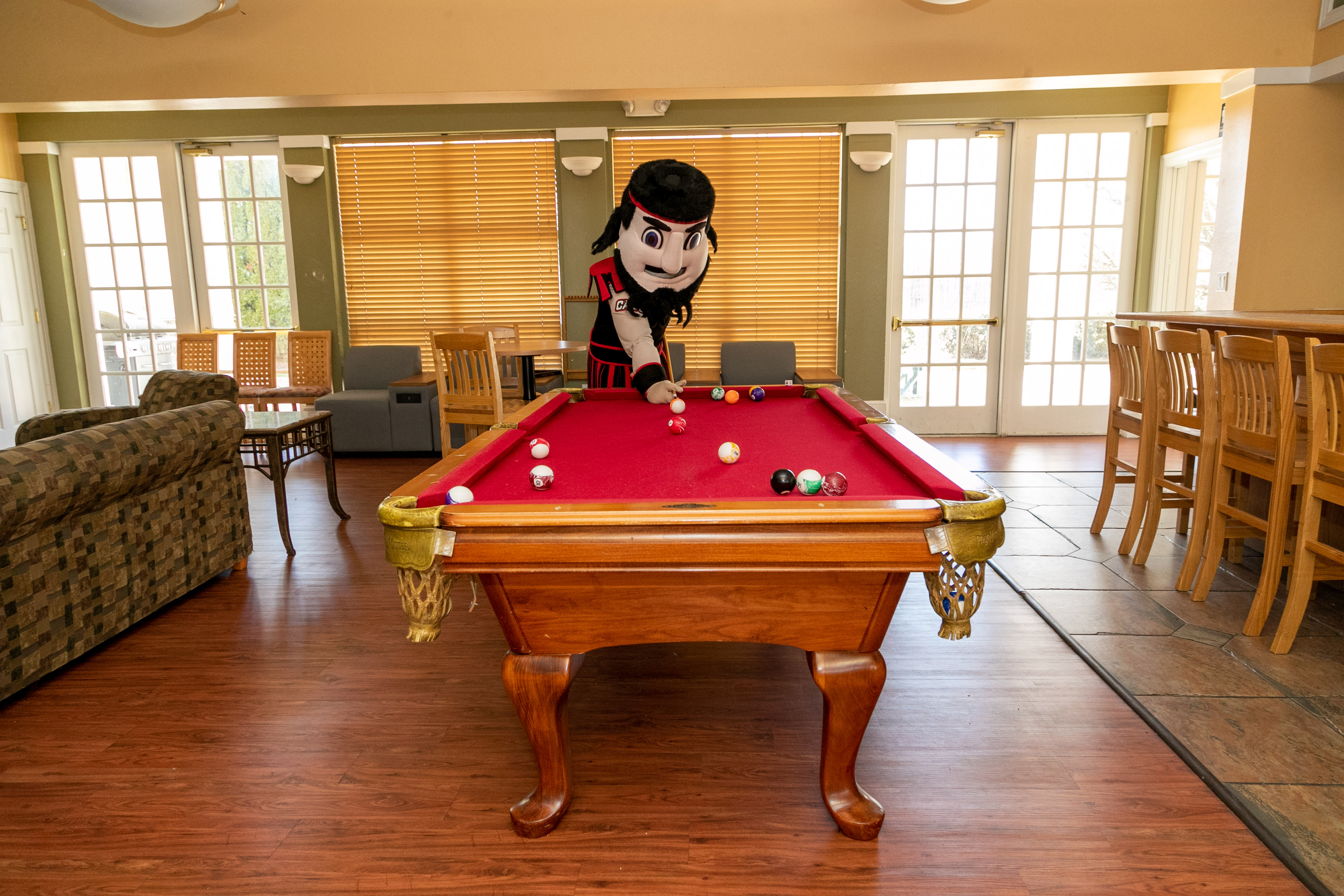 Vulcan Village Clubhouse pool table