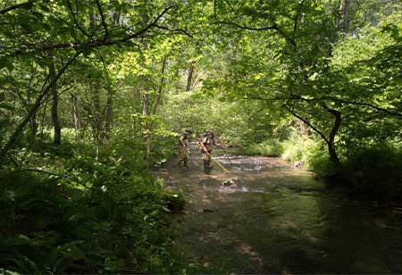 Two people fishing in a stream